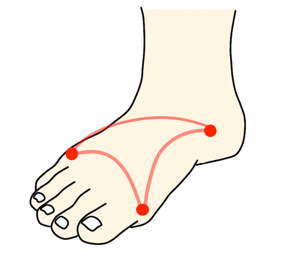 柏市の巻き爪専門院　足の３つのアーチ説明図